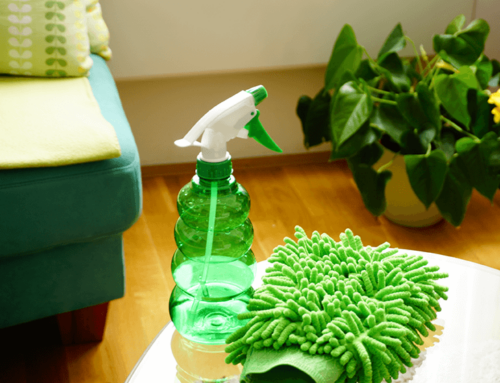 WHAT ARE ECO-FRIENDLY CLEANERS?