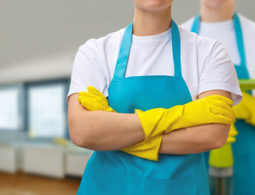 A Comprehensive Guide to House Cleaning in Sparta: Tips, Tricks, and Professional Insights